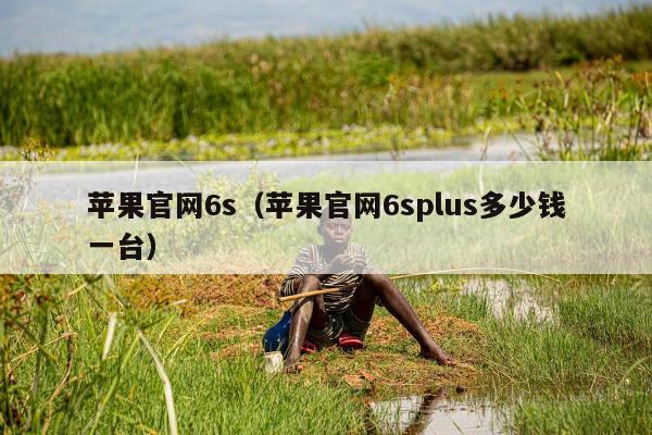 苹果官网6s（苹果官网6splus多少钱一台）