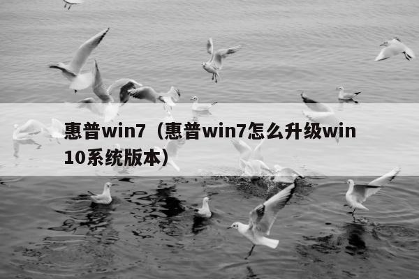 惠普win7（惠普win7怎么升级win10系统版本）