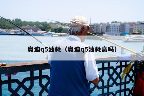 奥迪q5油耗（奥迪q5油耗高吗）