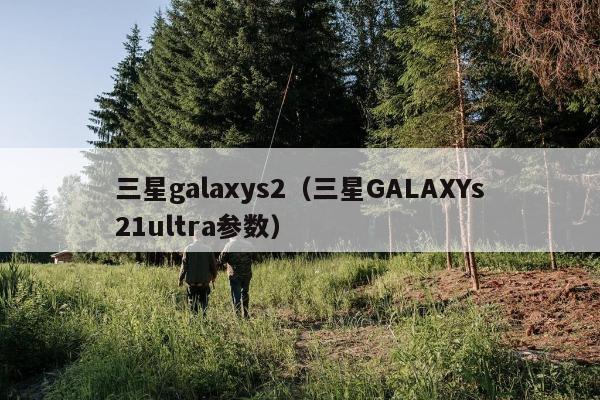 三星galaxys2（三星GALAXYs21ultra参数）