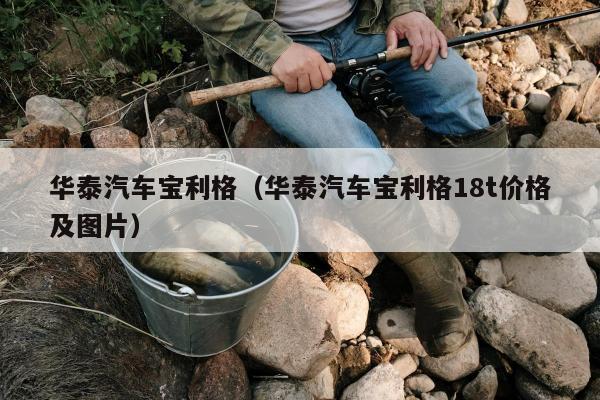 华泰汽车宝利格（华泰汽车宝利格18t价格及图片）