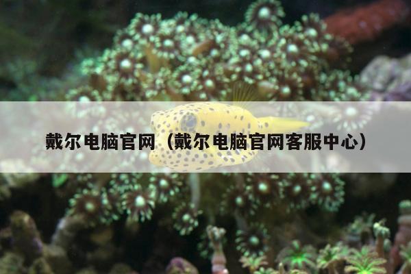 戴尔电脑官网（戴尔电脑官网客服中心）