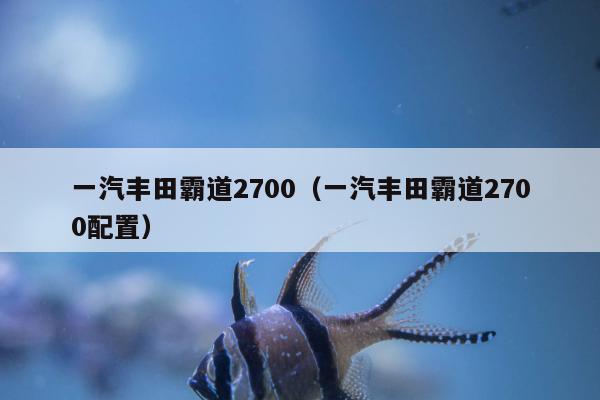 一汽丰田霸道2700（一汽丰田霸道2700配置）