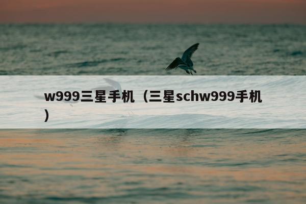 w999三星手机（三星schw999手机）