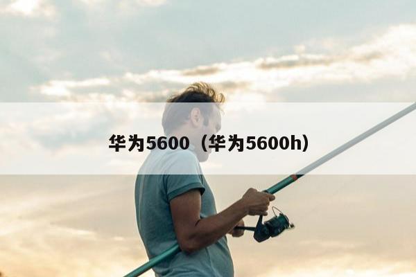 华为5600（华为5600h）