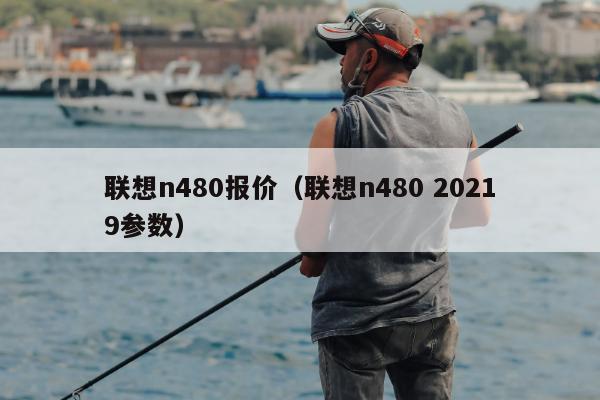 联想n480报价（联想n480 20219参数）