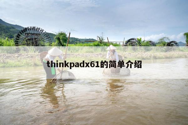 thinkpadx61的简单介绍