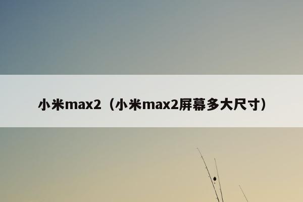 小米max2（小米max2屏幕多大尺寸）