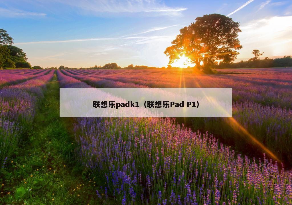 联想乐padk1（联想乐Pad P1）