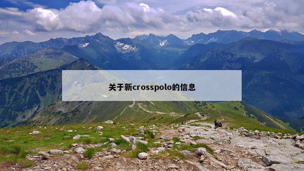 关于新crosspolo的信息