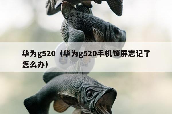 华为g520（华为g520手机锁屏忘记了怎么办）