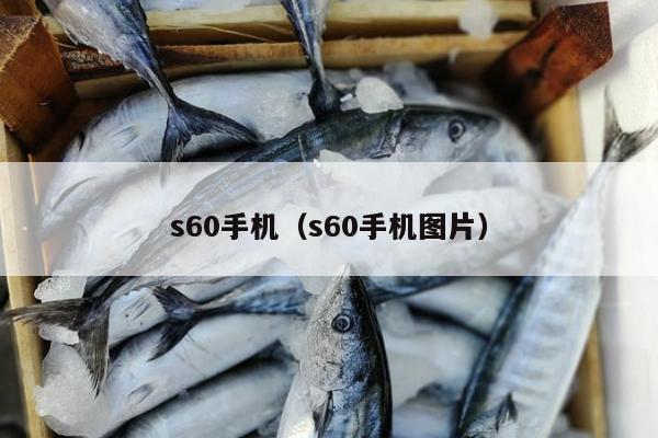 s60手机（s60手机图片）