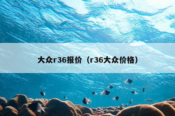 大众r36报价（r36大众价格）