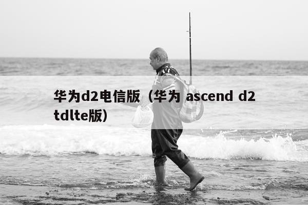 华为d2电信版（华为 ascend d2tdlte版）