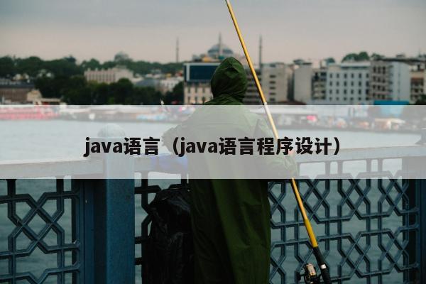 java语言（java语言程序设计）