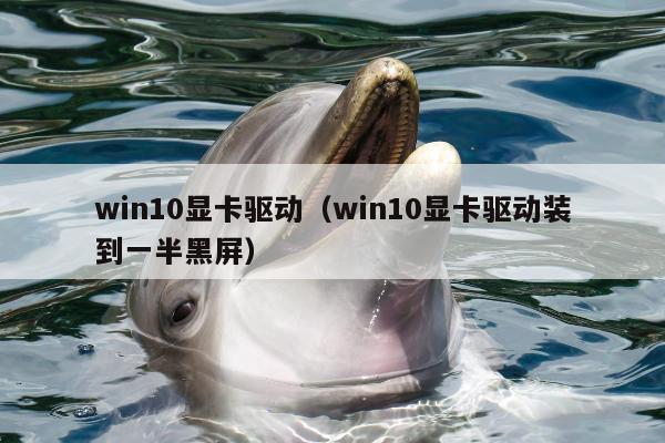 win10显卡驱动（win10显卡驱动装到一半黑屏）