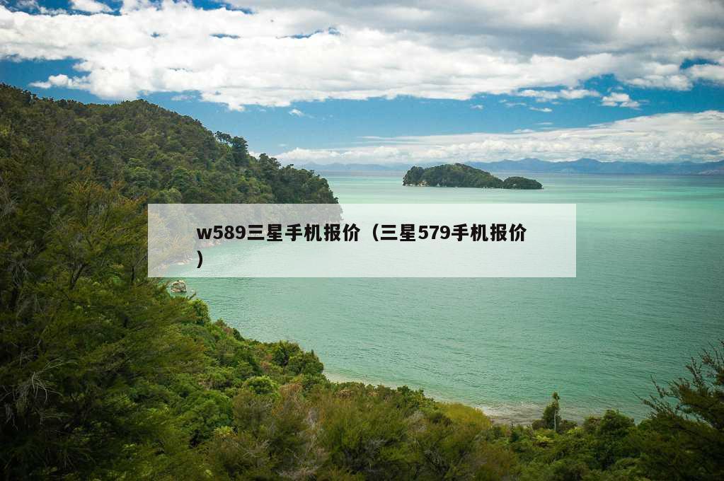 w589三星手机报价（三星579手机报价）