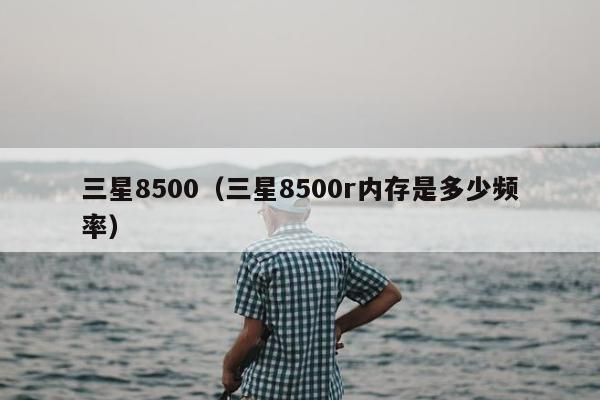 三星8500（三星8500r内存是多少频率）