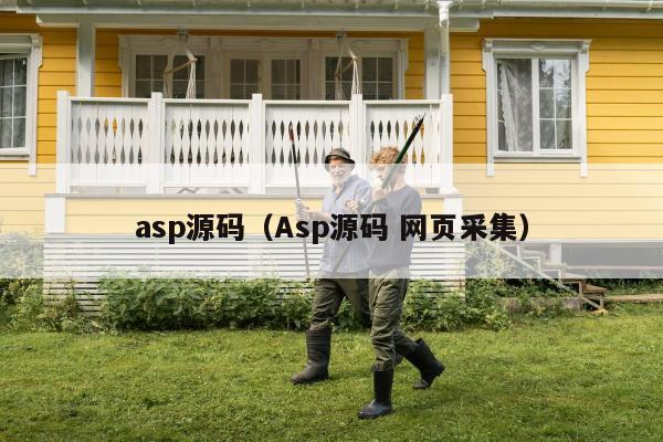 asp源码（Asp源码 网页采集）