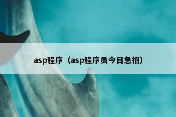 asp程序（asp程序员今日急招）