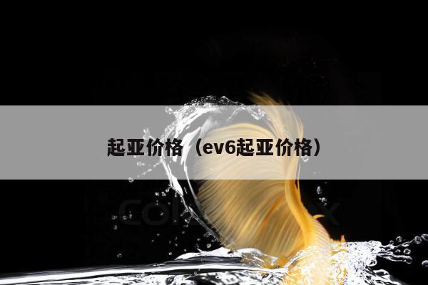 起亚价格（ev6起亚价格）