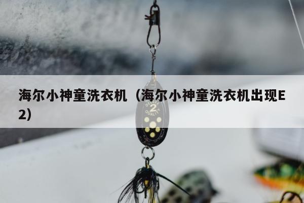 海尔小神童洗衣机（海尔小神童洗衣机出现E2）