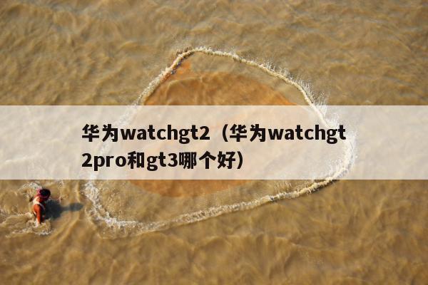 华为watchgt2（华为watchgt2pro和gt3哪个好）