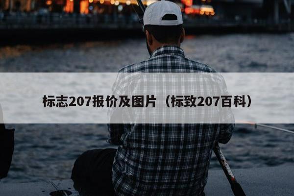 标志207报价及图片（标致207百科）