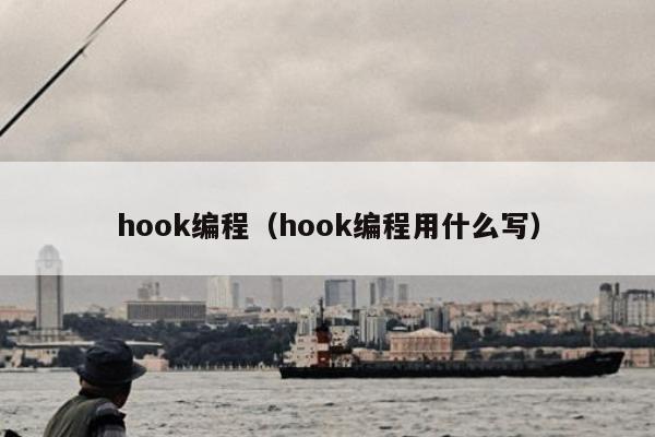 hook编程（hook编程用什么写）