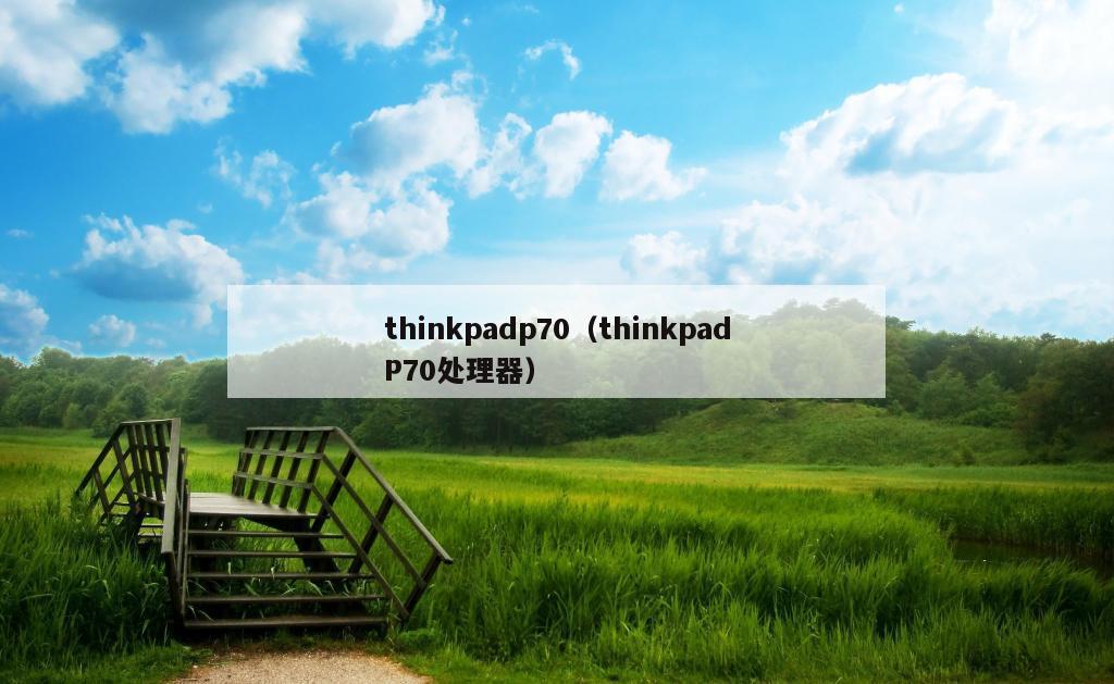 thinkpadp70（thinkpadP70处理器）