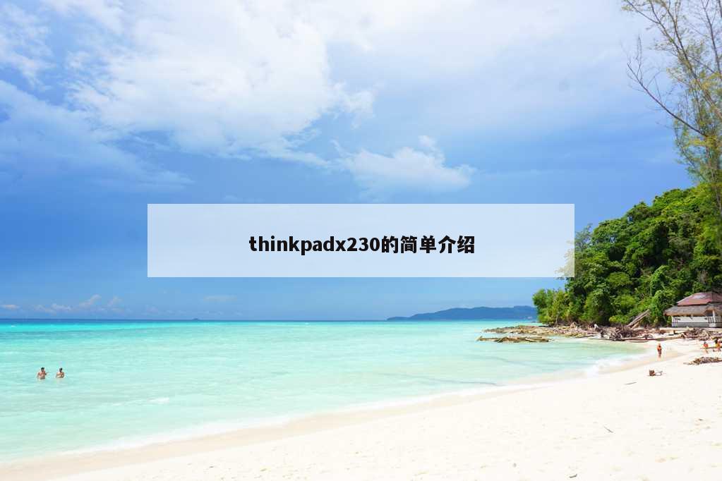 thinkpadx230的简单介绍