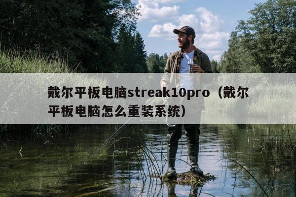 戴尔平板电脑streak10pro（戴尔平板电脑怎么重装系统）