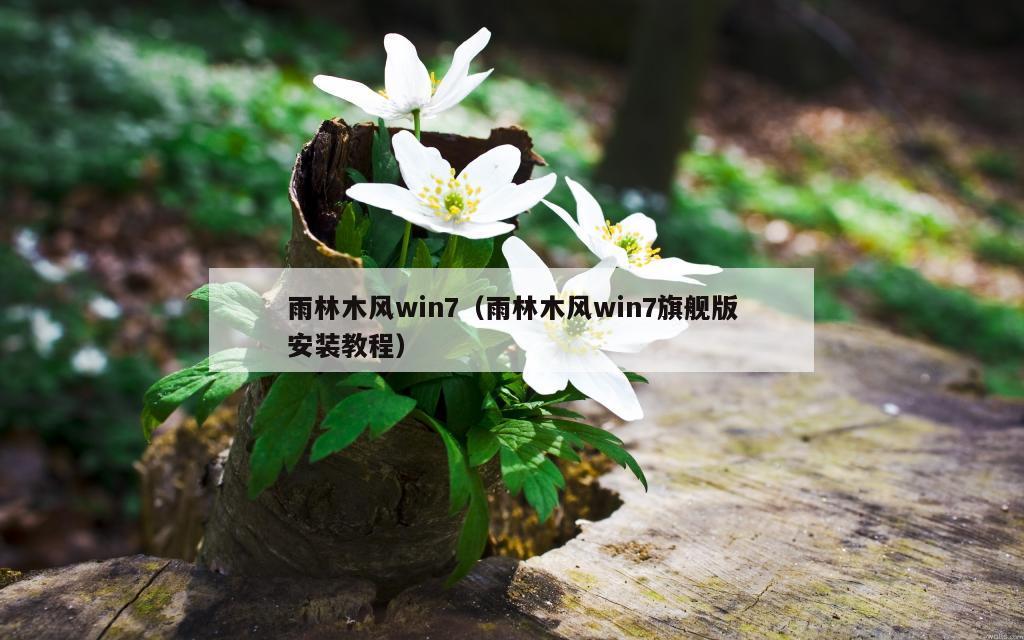 雨林木风win7（雨林木风win7旗舰版安装教程）