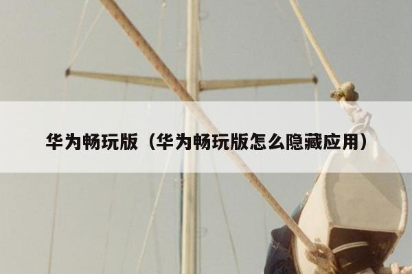 华为畅玩版（华为畅玩版怎么隐藏应用）