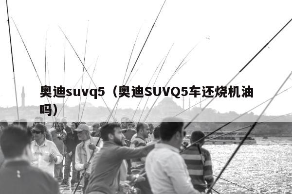 奥迪suvq5（奥迪SUVQ5车还烧机油吗）