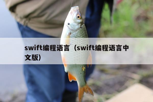 swift编程语言（swift编程语言中文版）