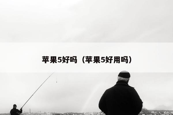 苹果5好吗（苹果5好用吗）