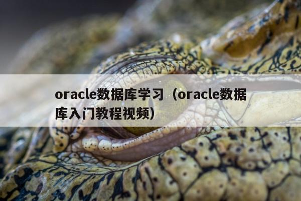 oracle数据库学习（oracle数据库入门教程视频）