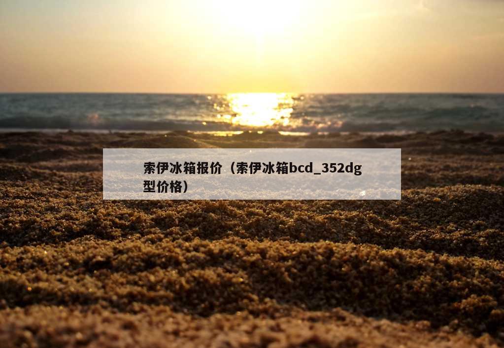 索伊冰箱报价（索伊冰箱bcd_352dg型价格）