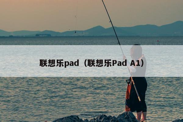 联想乐pad（联想乐Pad A1）