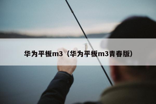 华为平板m3（华为平板m3青春版）