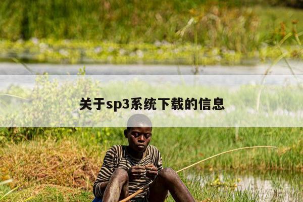 关于sp3系统下载的信息