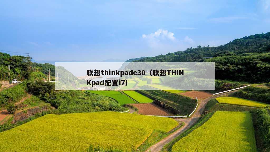 联想thinkpade30（联想THINKpad配置i7）