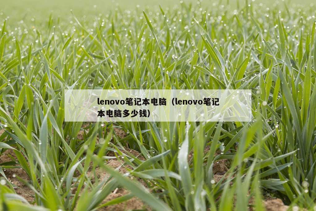 lenovo笔记本电脑（lenovo笔记本电脑多少钱）