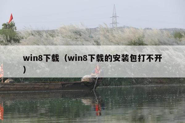 win8下载（win8下载的安装包打不开）