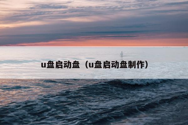 u盘启动盘（u盘启动盘制作）