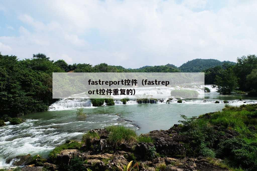 fastreport控件（fastreport控件重复的）