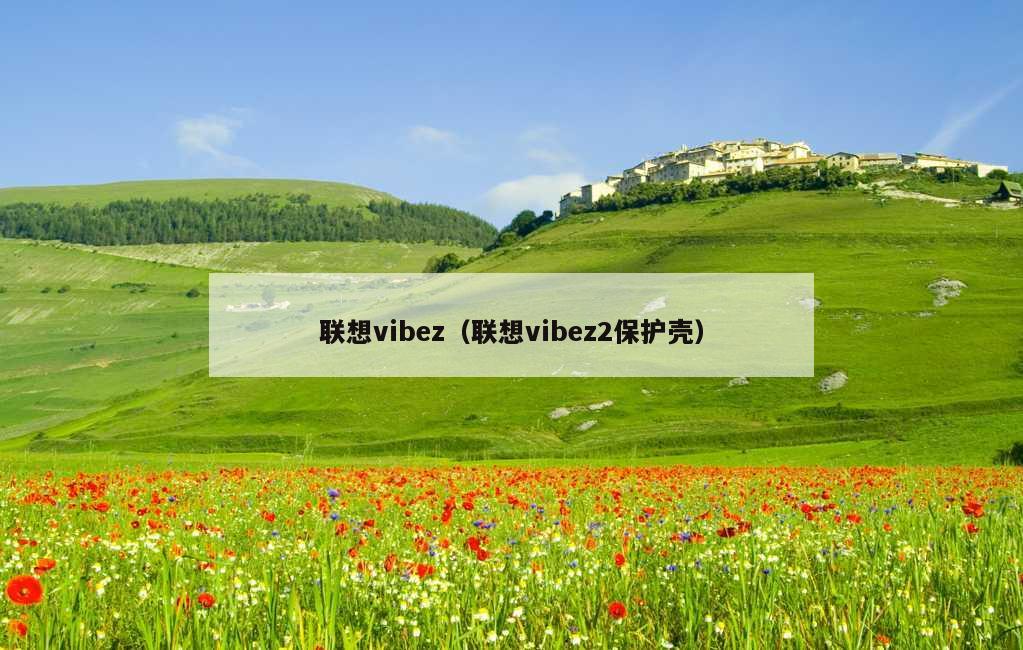 联想vibez（联想vibez2保护壳）