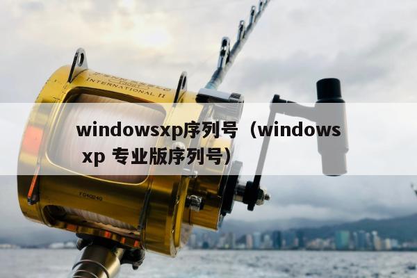 windowsxp序列号（windows xp 专业版序列号）