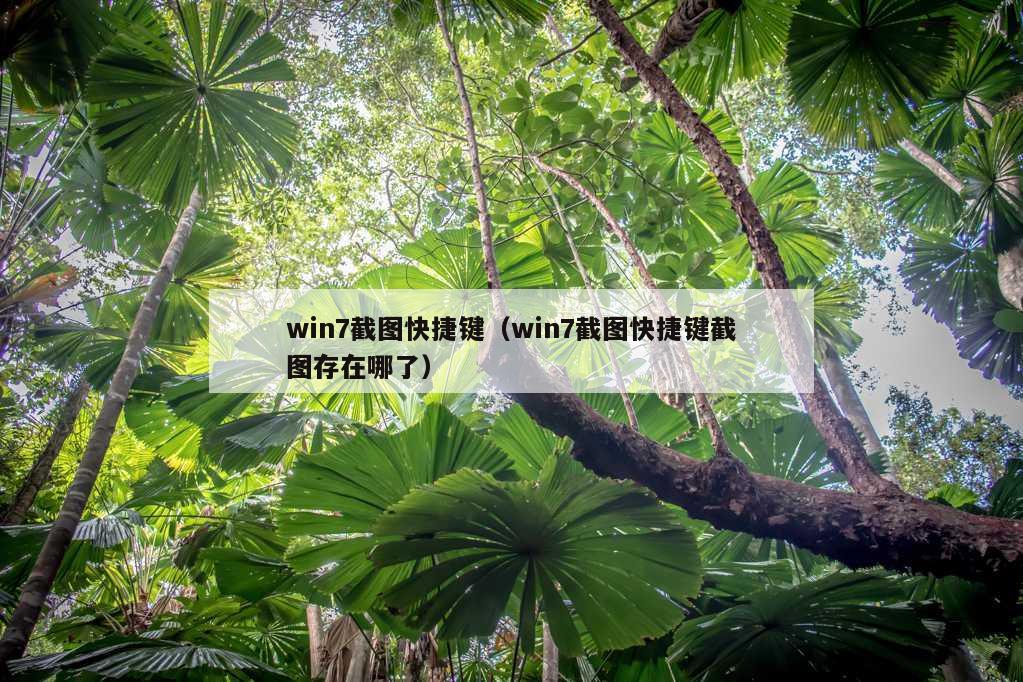 win7截图快捷键（win7截图快捷键截图存在哪了）